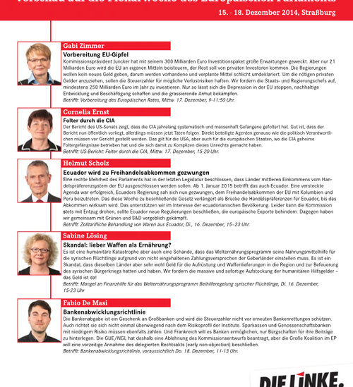 Plenarfokus